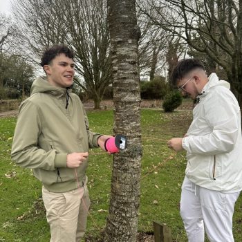 Calcul de la quantité de carbone stockée dans un arbre